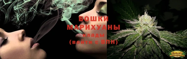 мдпв Волоколамск