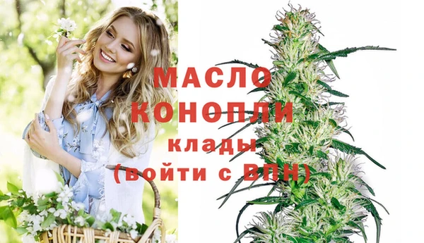 мдпв Волоколамск