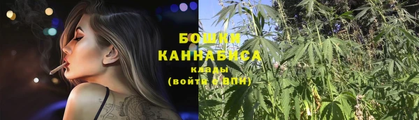 мдпв Волоколамск