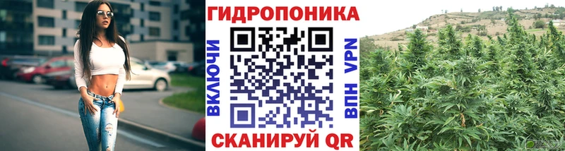 Бошки марихуана марихуана  Питкяранта 